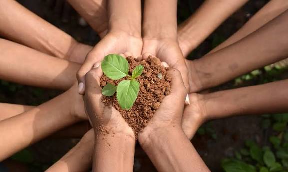 ISO 14001 gestión ambiental